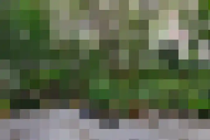 Hortusplantsoen 34 Amsterdam thumbnail 19