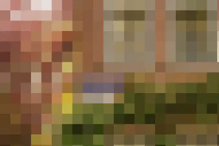 Hortusplantsoen 34 Amsterdam thumbnail 21