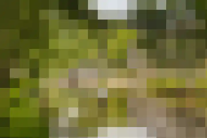 Hortusplantsoen 34 Amsterdam thumbnail 22