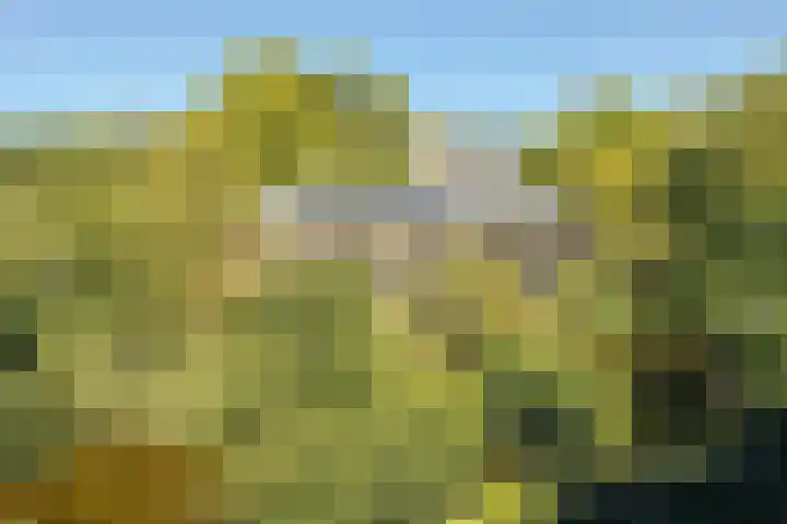 Hortusplantsoen 34 Amsterdam thumbnail 23