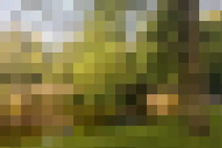 Hortusplantsoen 34 Amsterdam thumbnail 24