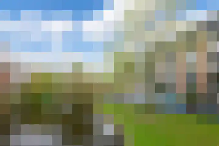 Hortusplantsoen 34 Amsterdam thumbnail 29