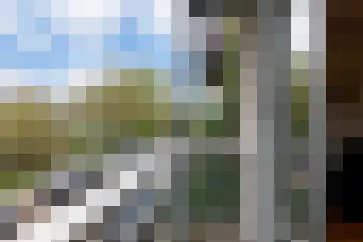 Hortusplantsoen 34 Amsterdam thumbnail 5