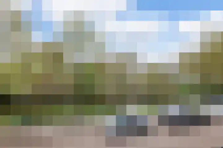 Hortusplantsoen 34 Amsterdam thumbnail 8