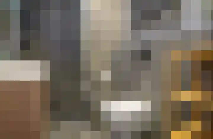 Hortusplantsoen 42 Amsterdam thumbnail 14