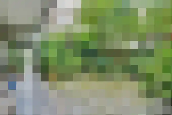 Hortusplantsoen 42 Amsterdam thumbnail 22