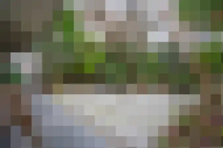 Hortusplantsoen 42 Amsterdam thumbnail 23