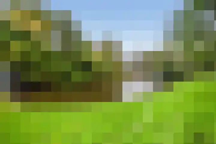 Hortusplantsoen 42 Amsterdam thumbnail 26