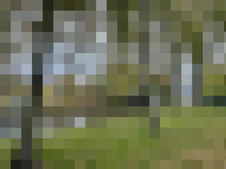 Hortusplantsoen 42 Amsterdam thumbnail 27