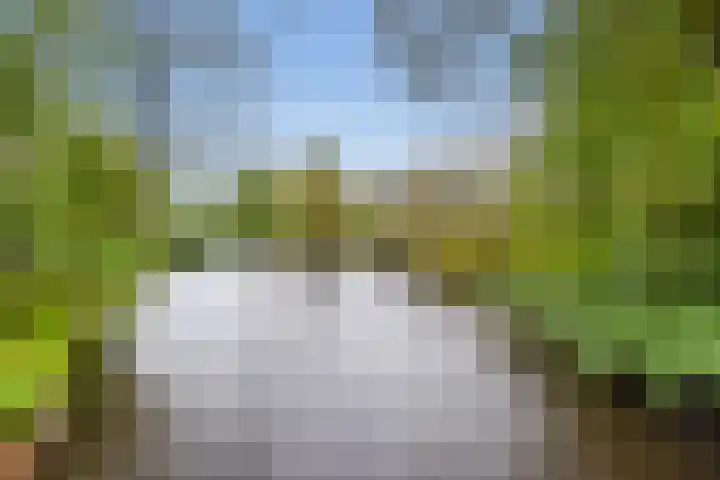 Hortusplantsoen 42 Amsterdam thumbnail 30
