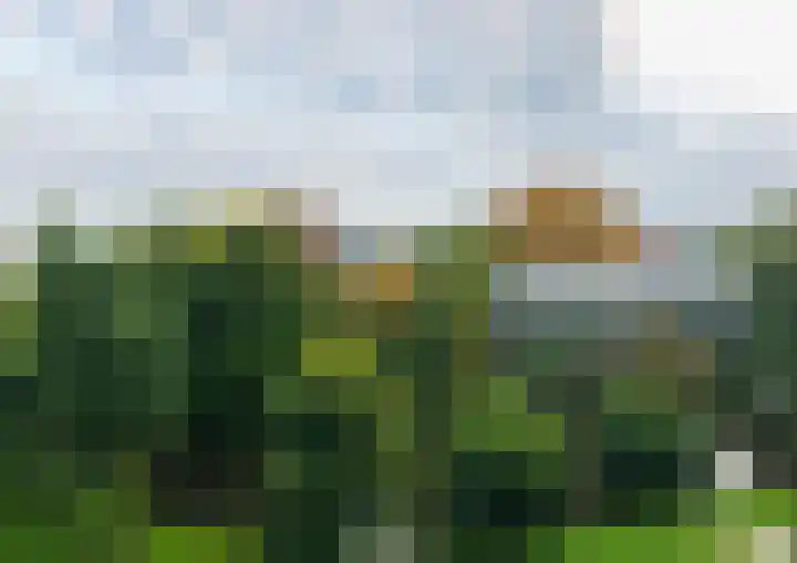Hortusplantsoen 42 Amsterdam thumbnail 31
