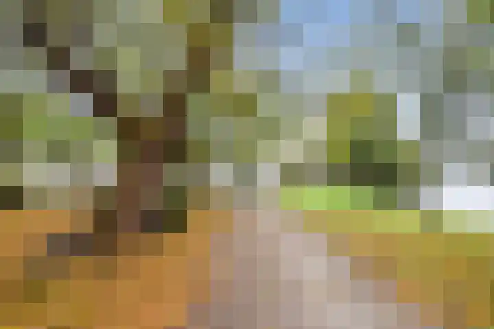 Hortusplantsoen 42 Amsterdam thumbnail 32