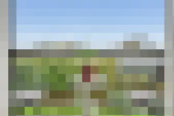 Hortusplantsoen 42 Amsterdam thumbnail 4