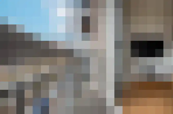 Hortusplantsoen 42 Amsterdam thumbnail 5