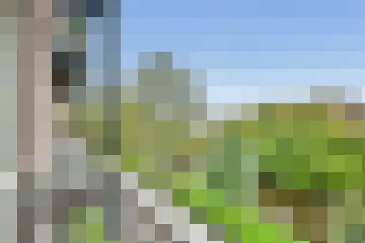 Hortusplantsoen 42 Amsterdam thumbnail 6