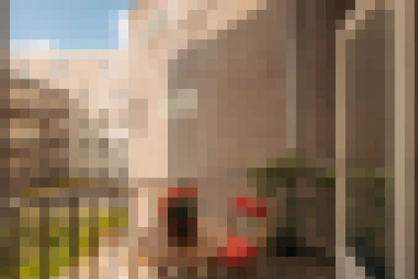 Hortusplantsoen 7 2 Amsterdam thumbnail 15