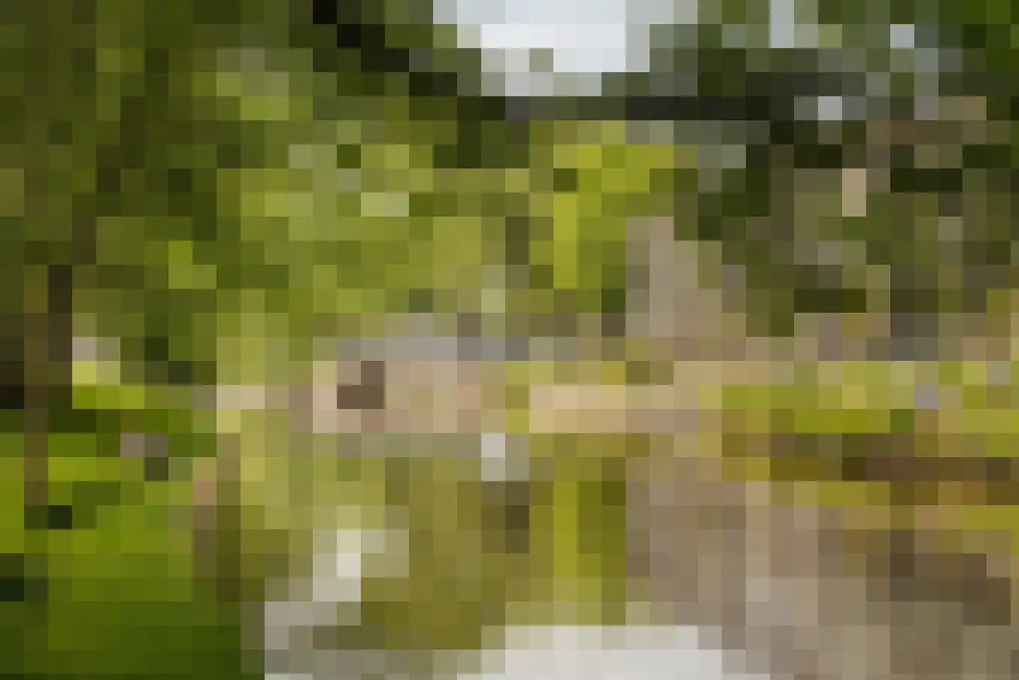Hortusplantsoen 7 2 Amsterdam thumbnail 30