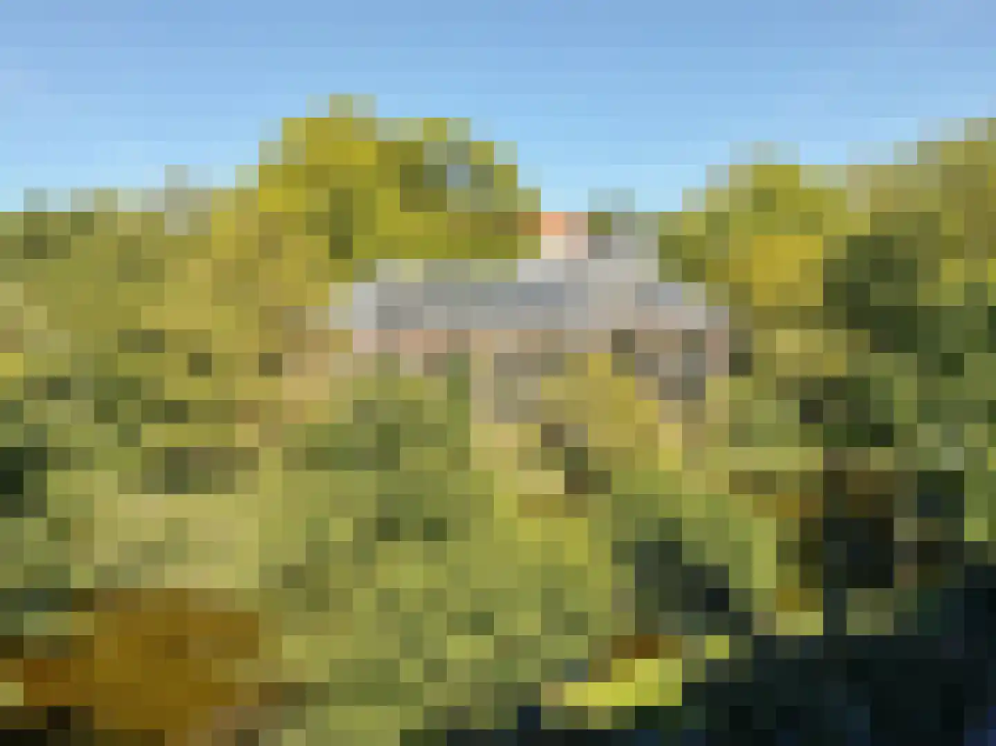 Hortusplantsoen 7 2 Amsterdam thumbnail 31