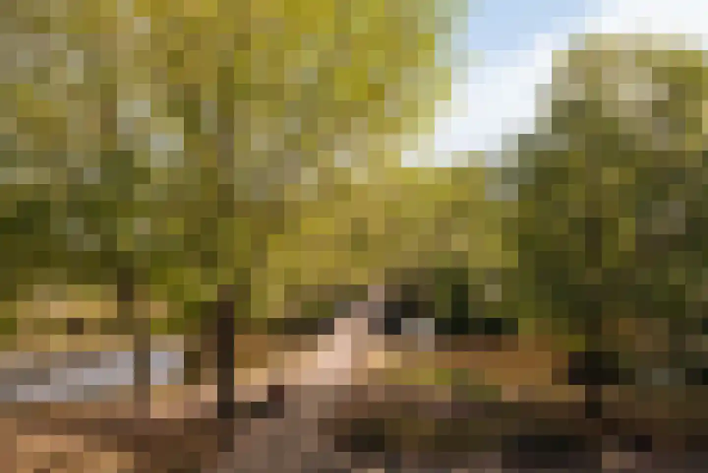 Hortusplantsoen 7 2 Amsterdam thumbnail 4