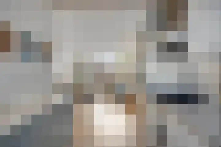 Hosingenhof 27 Eindhoven thumbnail 19