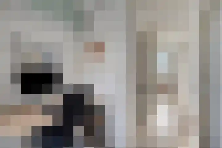 Hosingenhof 27 Eindhoven thumbnail 28