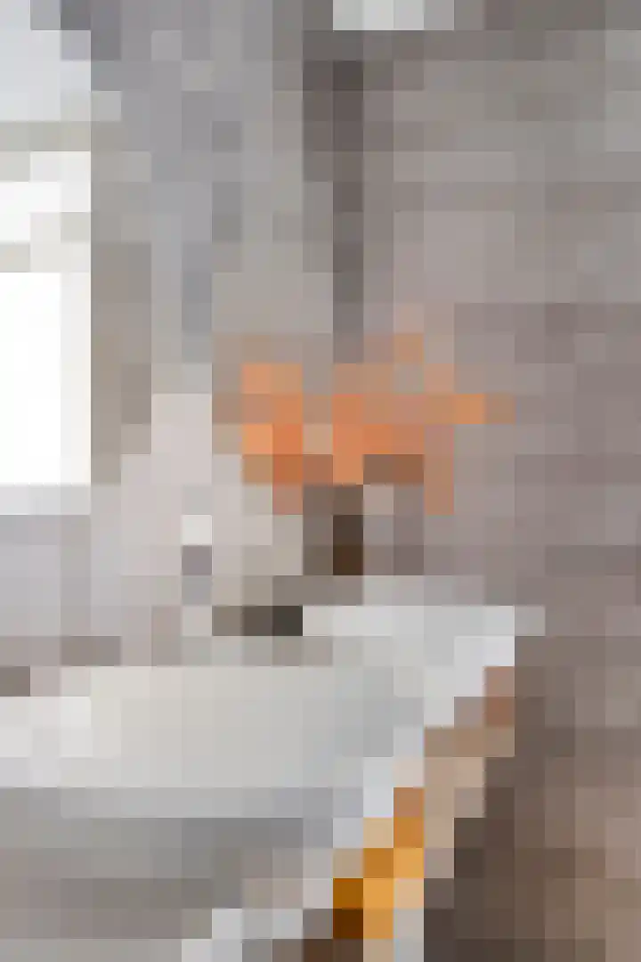 Hosingenhof 27 Eindhoven thumbnail 29