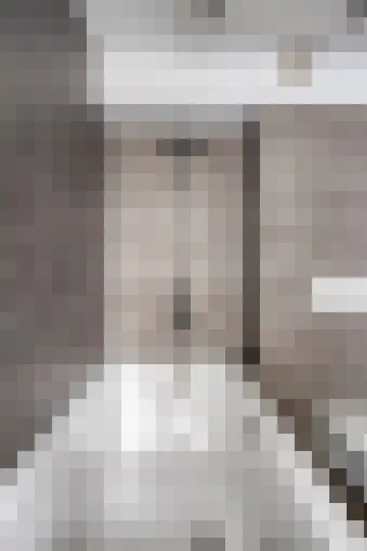 Hosingenhof 27 Eindhoven thumbnail 31