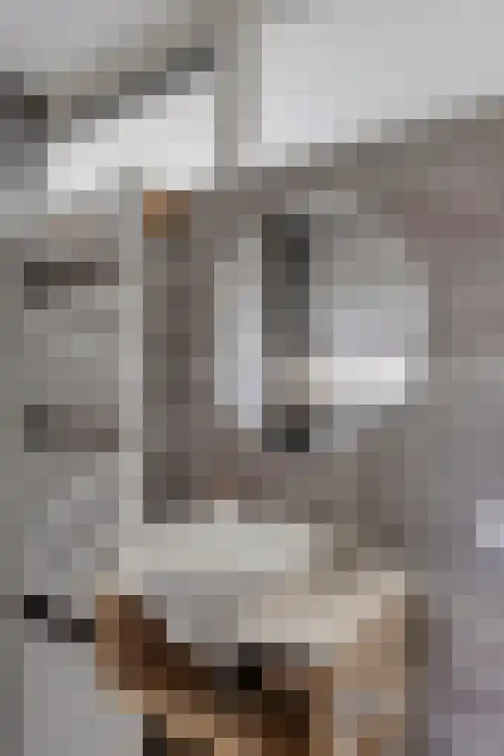 Hosingenhof 27 Eindhoven thumbnail 37