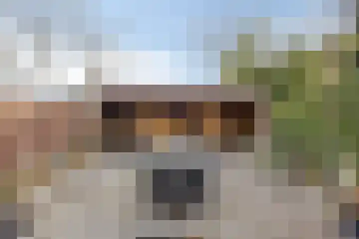 Hosingenhof 27 Eindhoven thumbnail 6