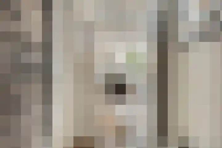 Hosingenhof 27 Eindhoven thumbnail 9