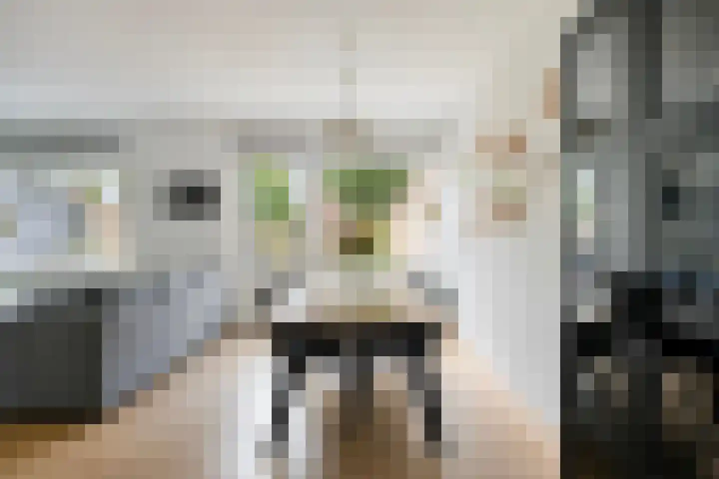 Hosingenhof 3 Eindhoven thumbnail 11