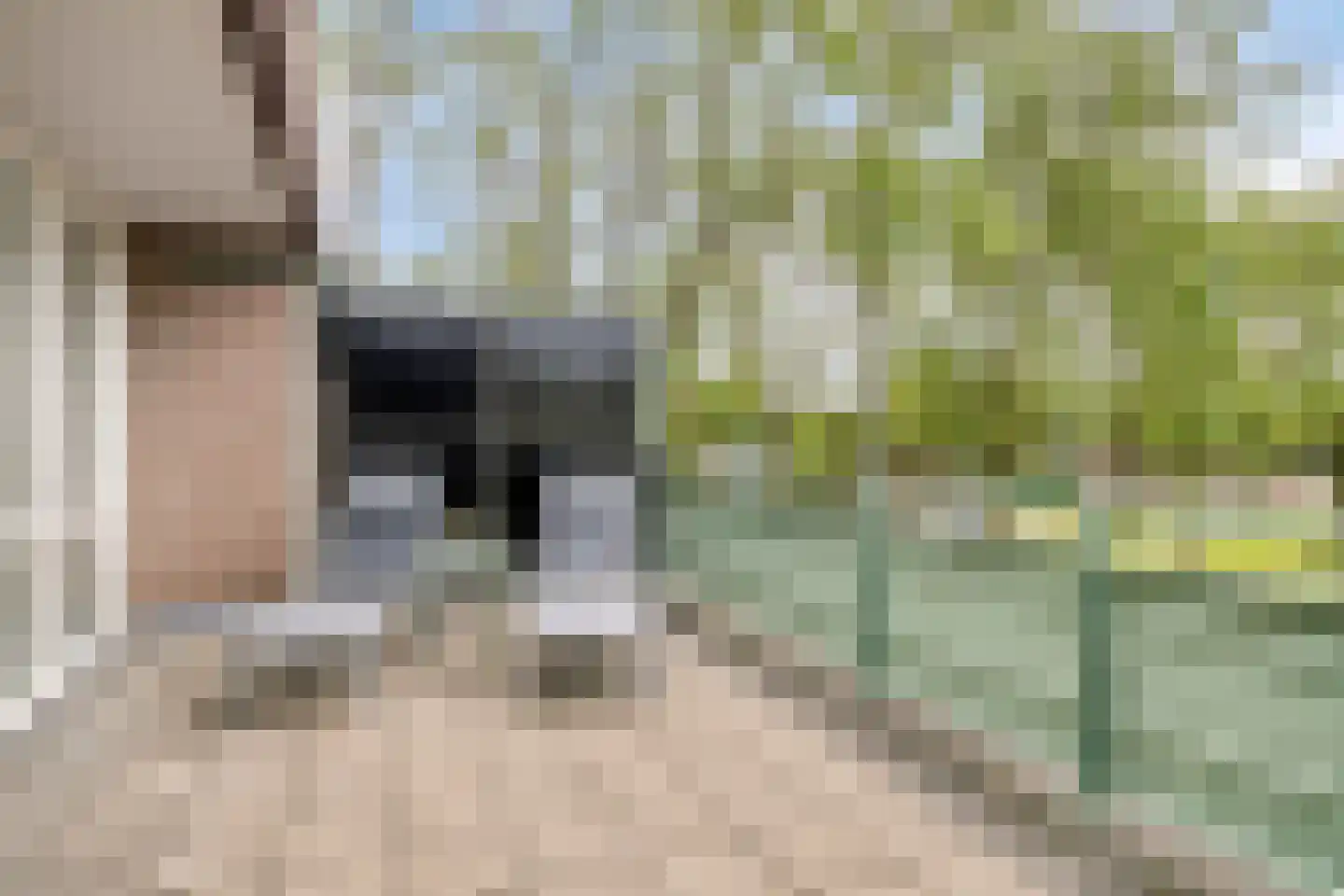 Hosingenhof 3 Eindhoven thumbnail 29
