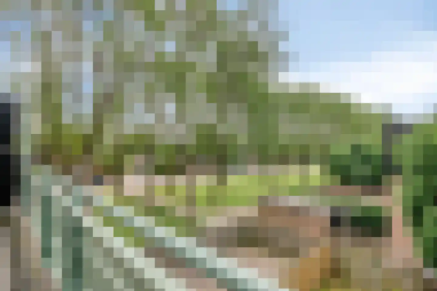 Hosingenhof 3 Eindhoven thumbnail 30