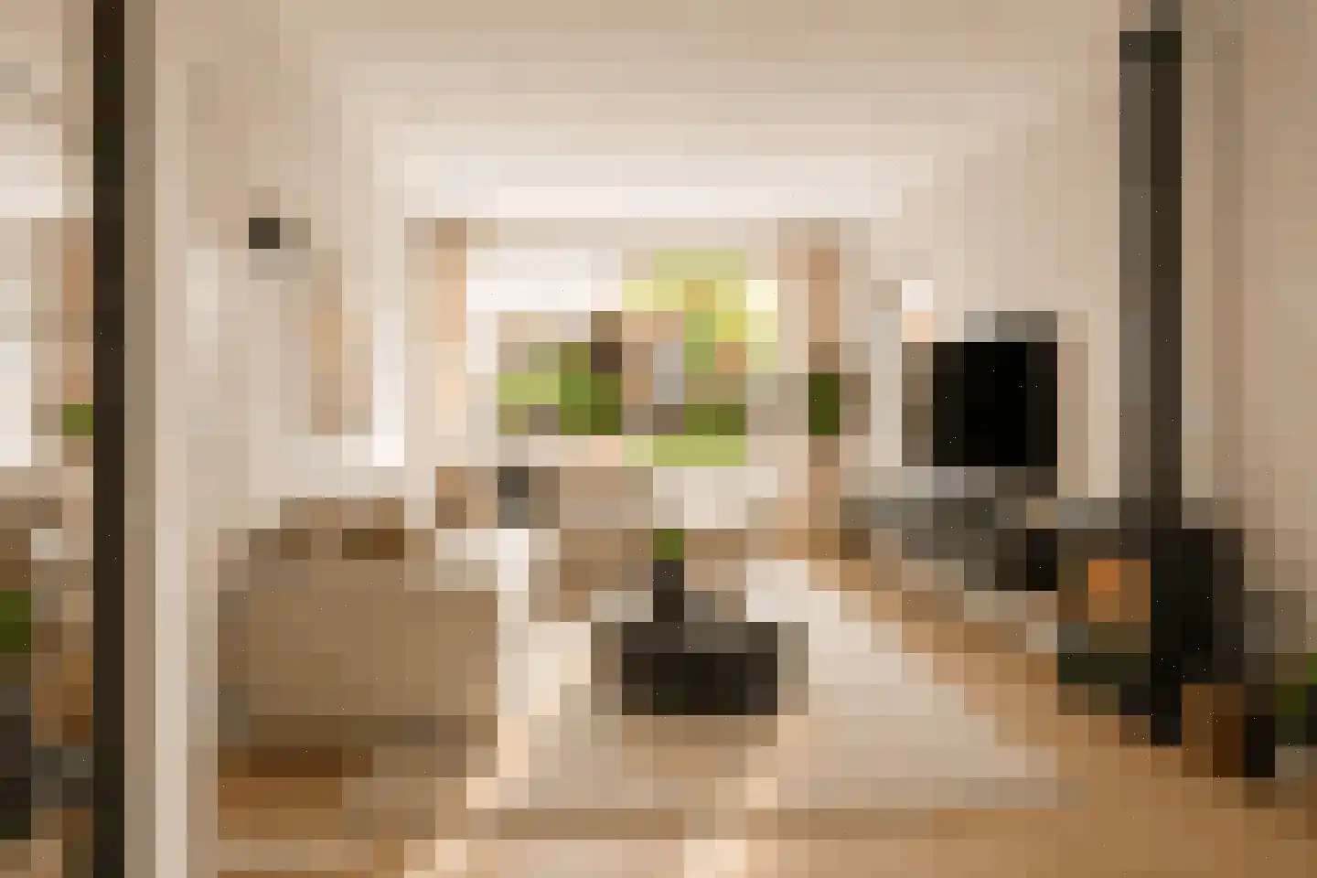 Hospeslaan 63 Haarlem thumbnail 10