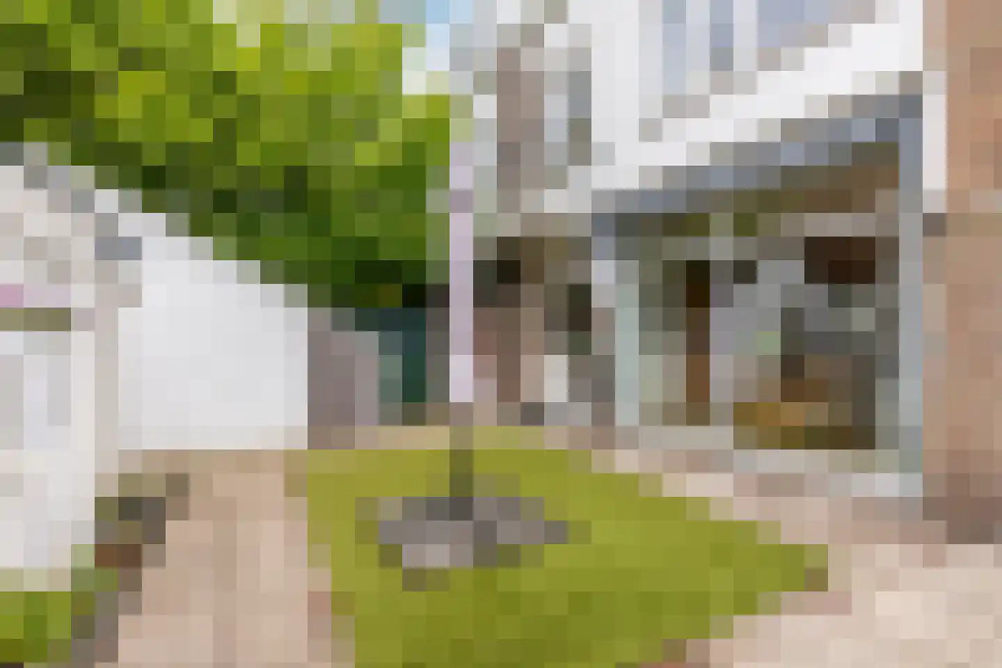 Hospeslaan 63 Haarlem thumbnail 16