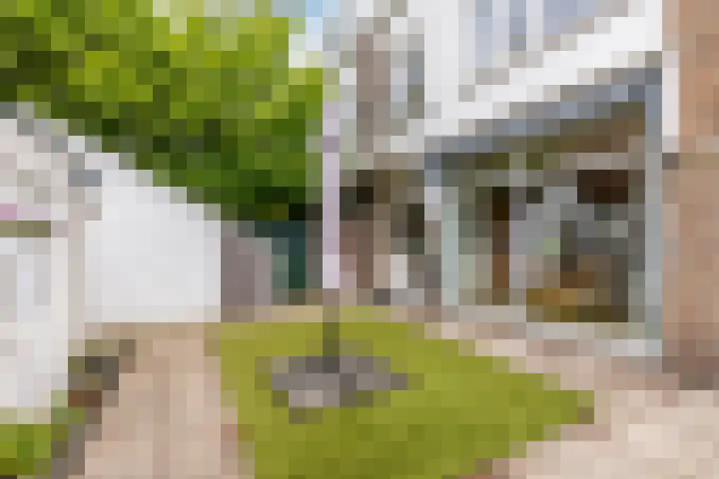 Hospeslaan 63 Haarlem thumbnail 20
