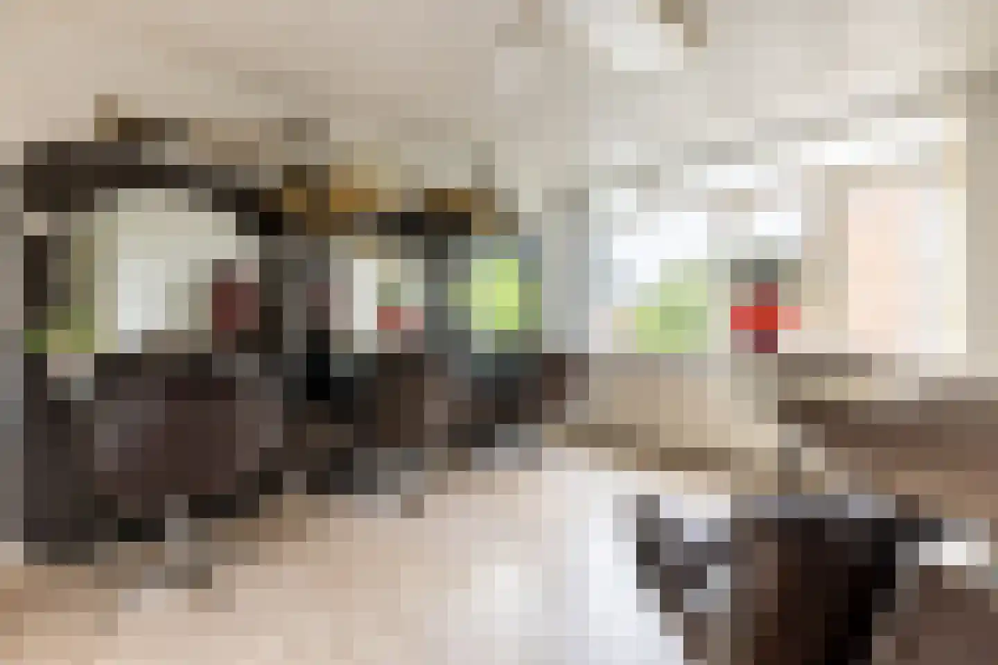 Hospeslaan 63 Haarlem thumbnail 25