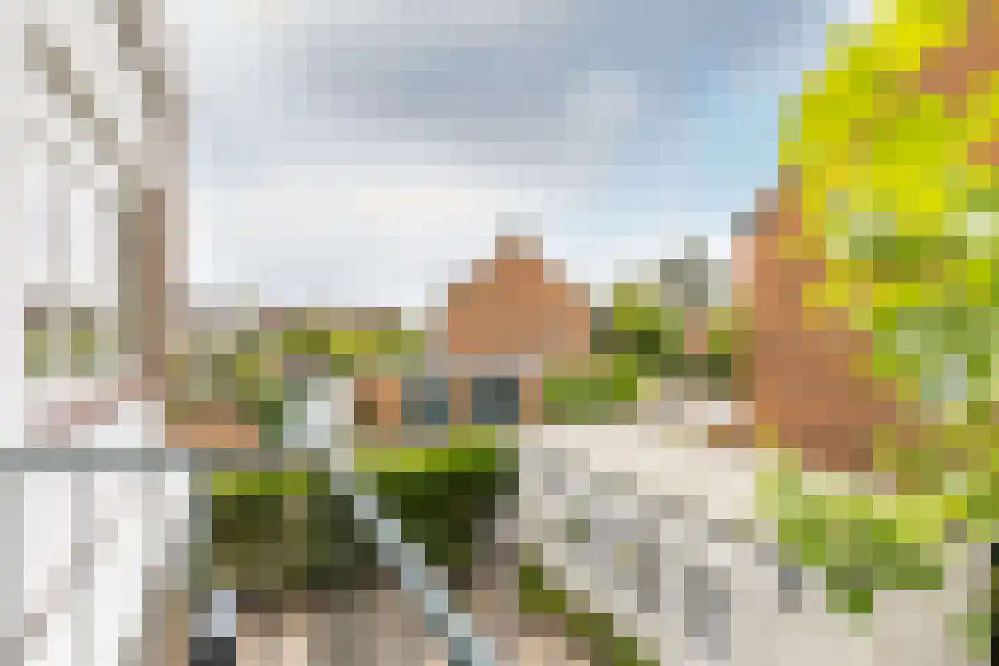 Hospeslaan 63 Haarlem thumbnail 29