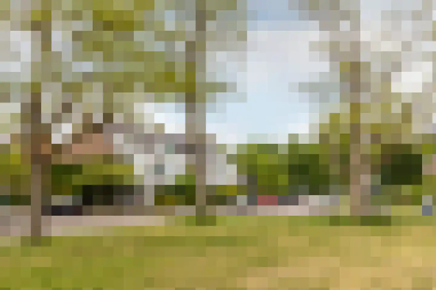 Hospeslaan 63 Haarlem thumbnail 35