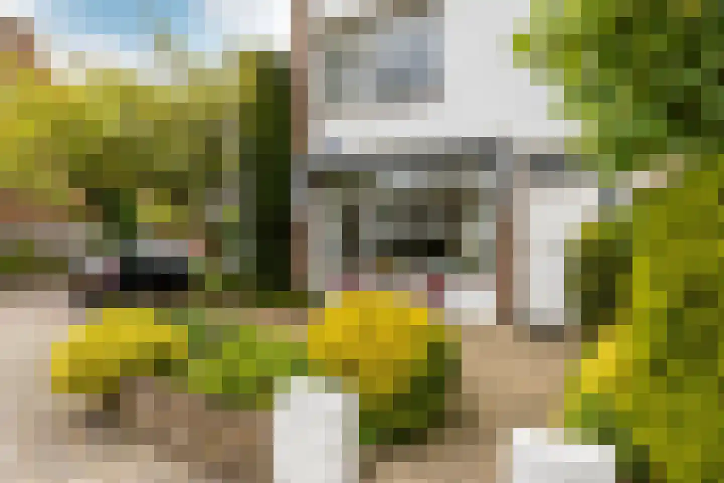 Hospeslaan 63 Haarlem thumbnail 7