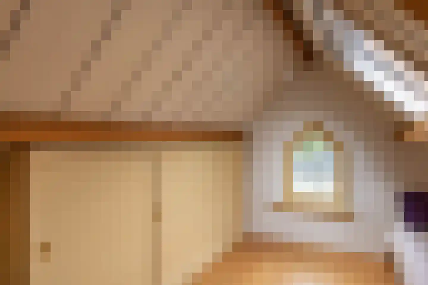Hospeslaan 64 Haarlem thumbnail 12