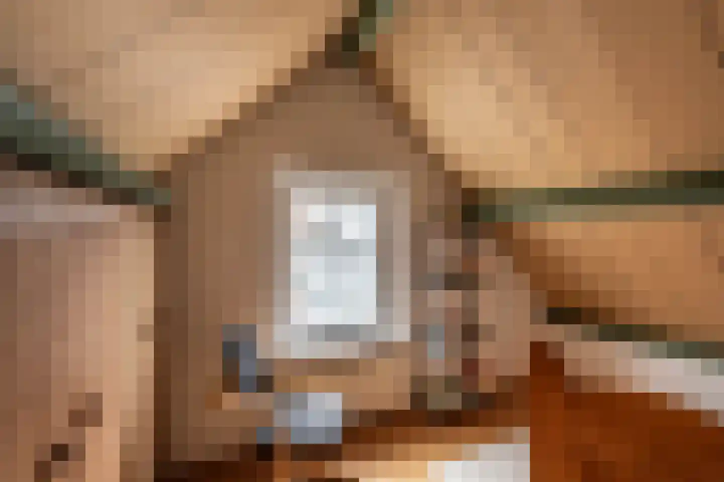 Hospeslaan 64 Haarlem thumbnail 14