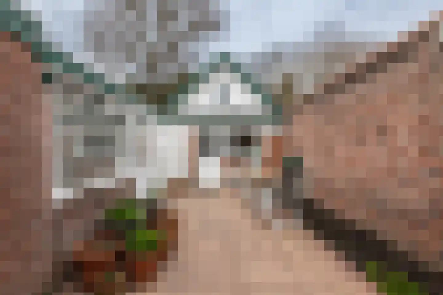 Hospeslaan 64 Haarlem thumbnail 18