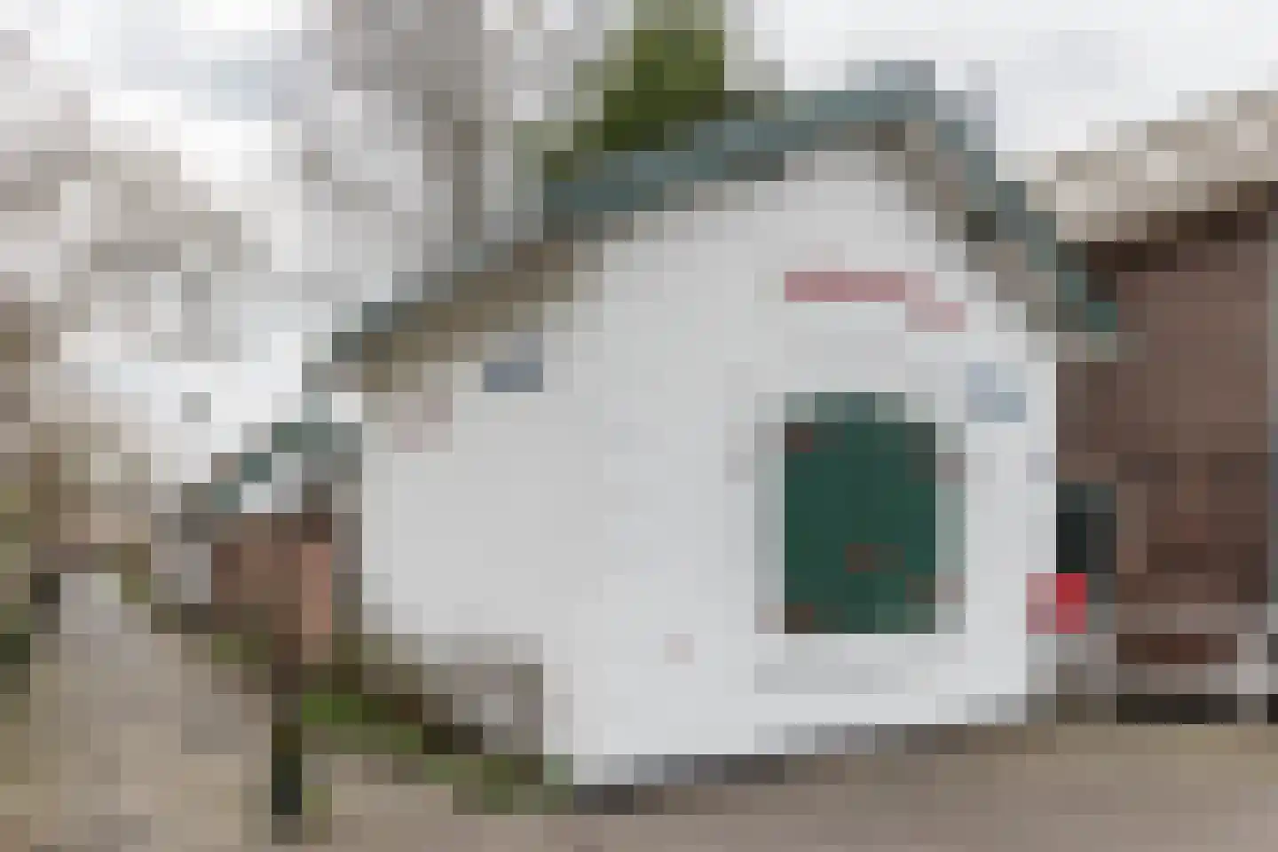 Hospeslaan 64 Haarlem thumbnail 22