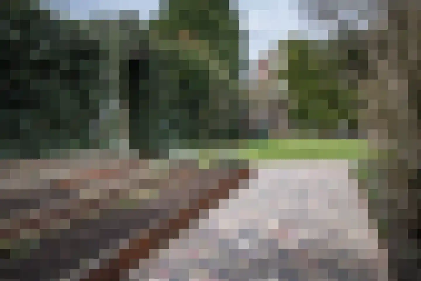 Hospeslaan 64 Haarlem thumbnail 34