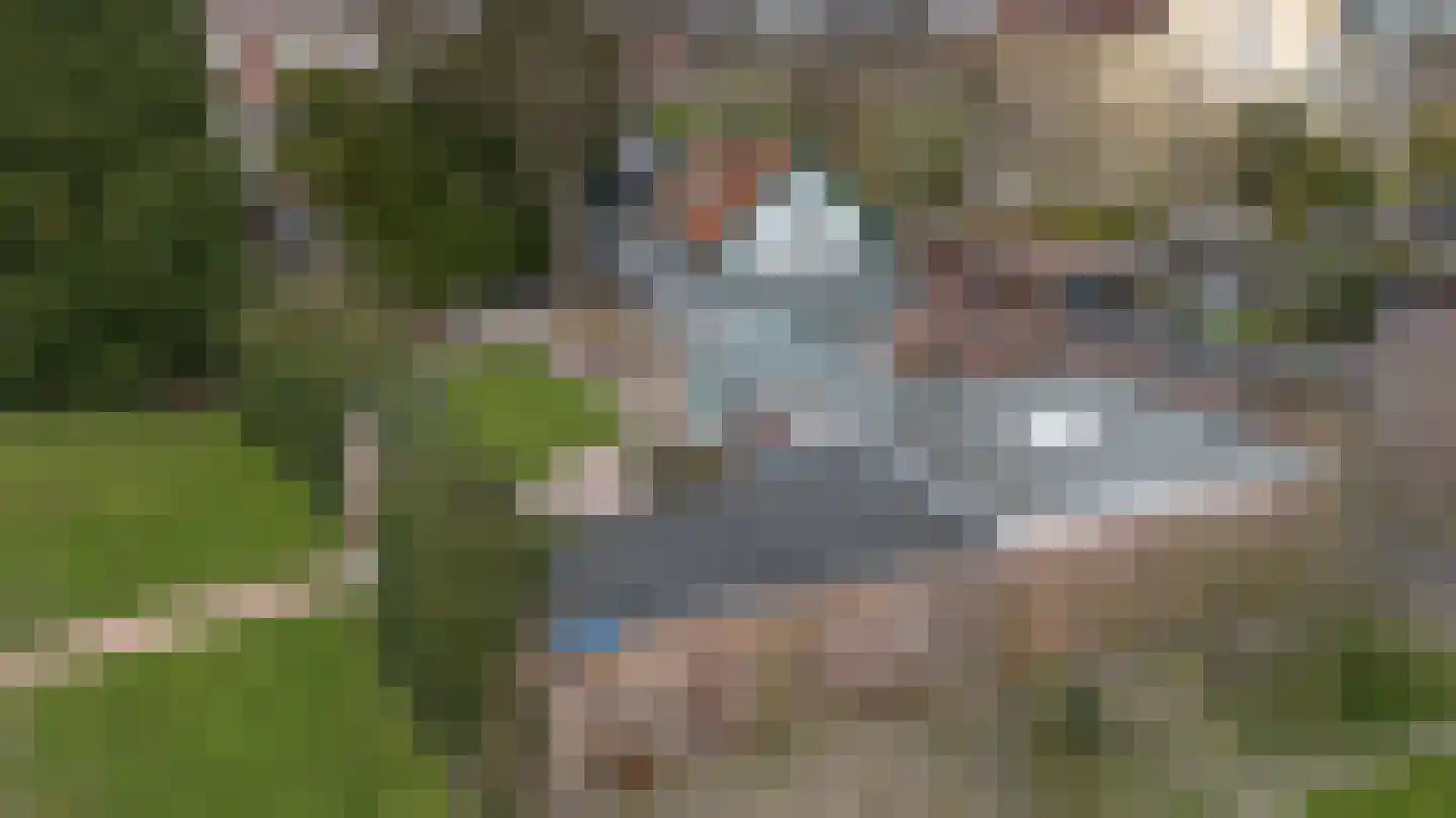 Hospeslaan 64 Haarlem thumbnail 35
