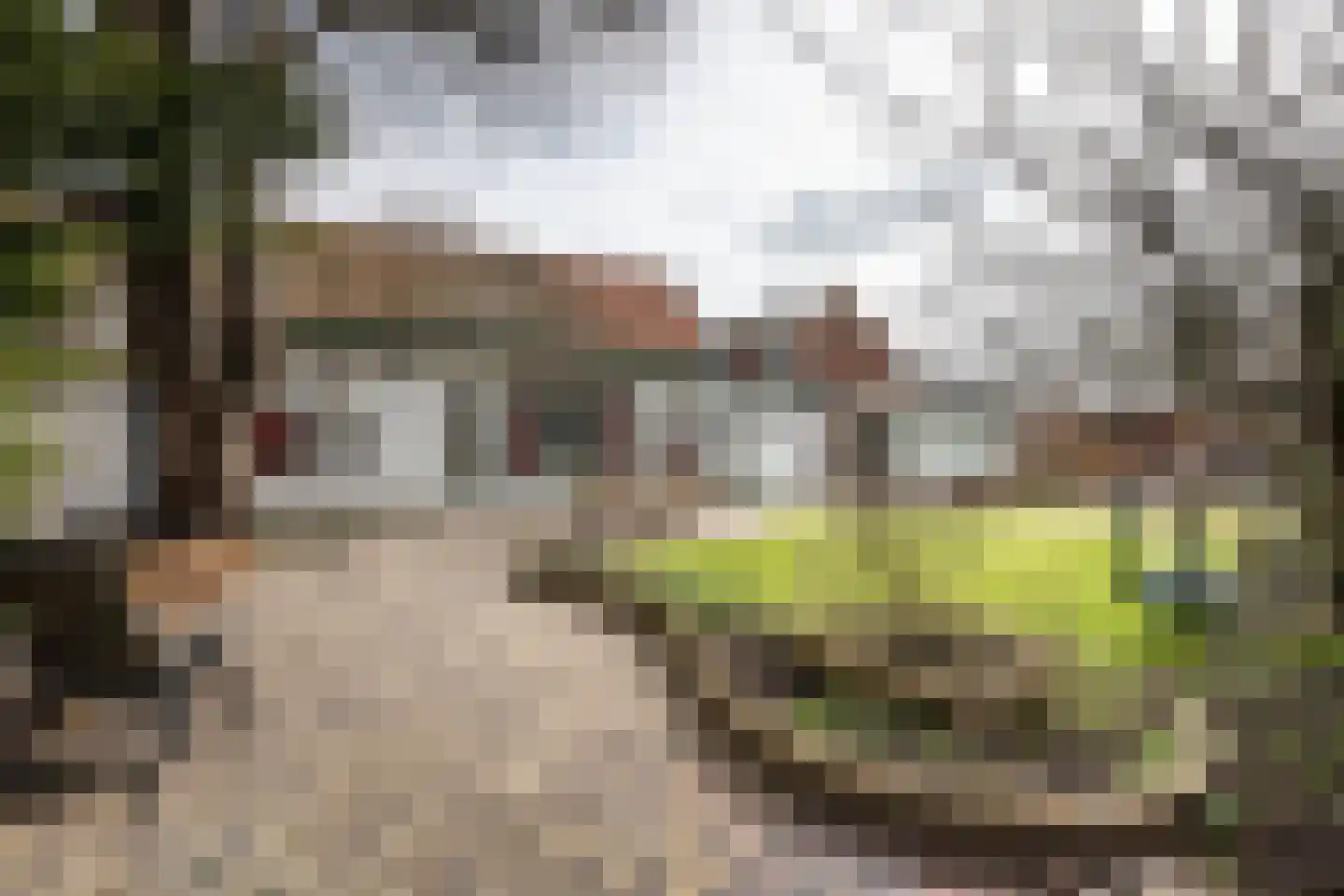 Hospeslaan 64 Haarlem thumbnail 4