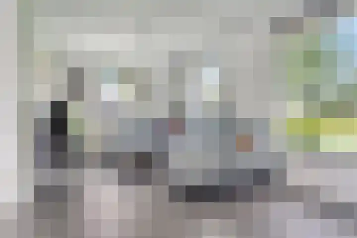 Hostalaan 24 Waalre thumbnail 11