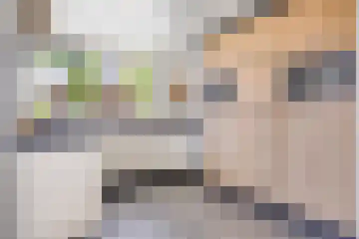 Hostalaan 24 Waalre thumbnail 17