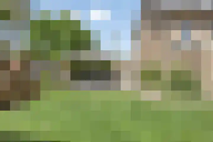 Hostalaan 24 Waalre thumbnail 42